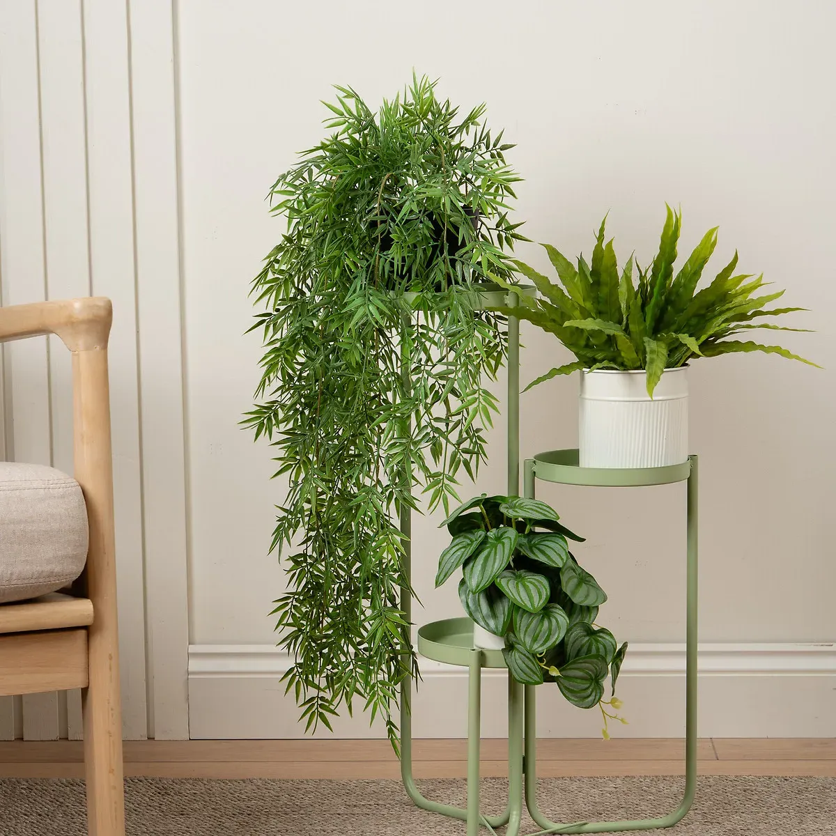 Trailing Bamboo in Black Pot - Green product