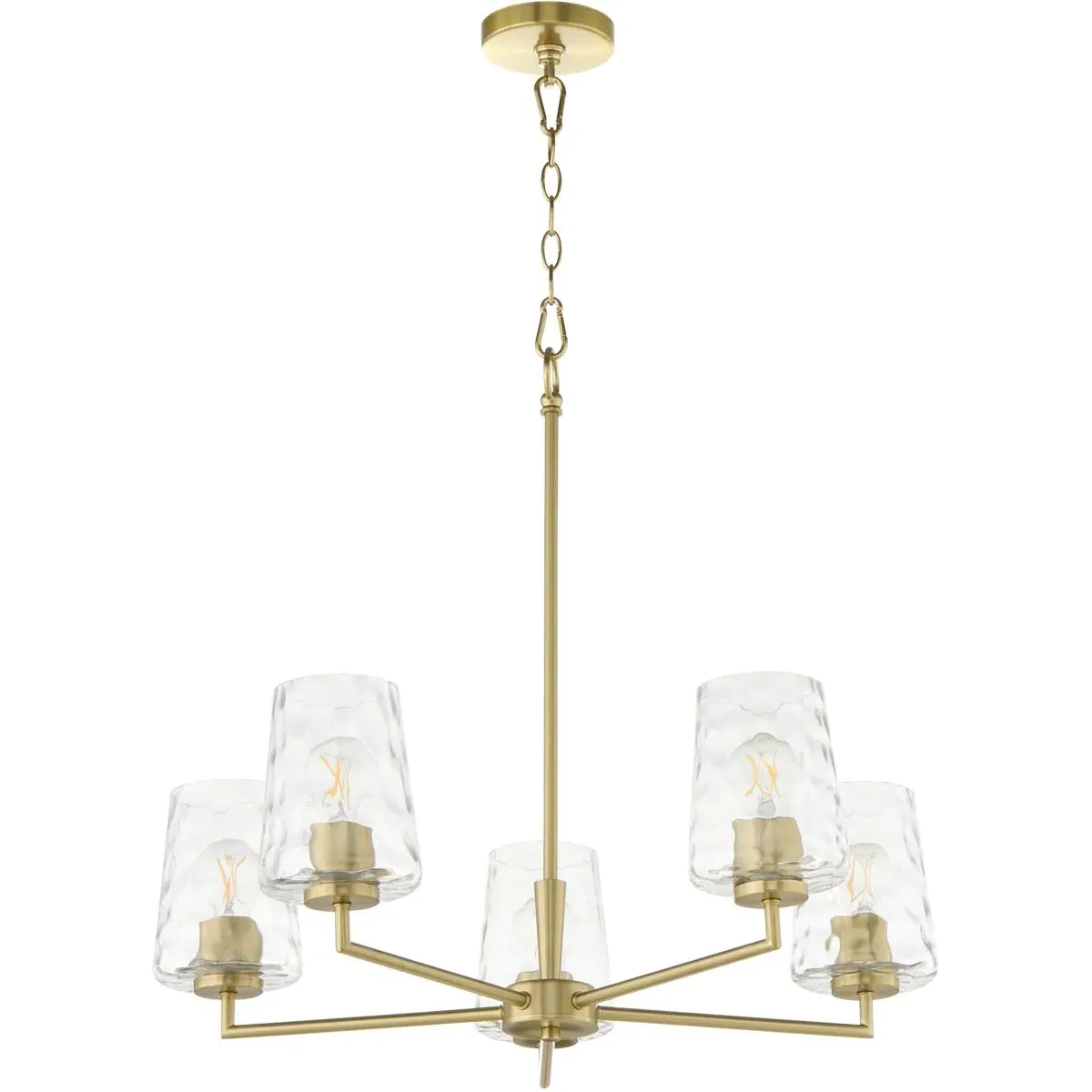 Goodwin 5-Light 27 inch Chandelier - Aged Brass, Clear Hammered Glass product