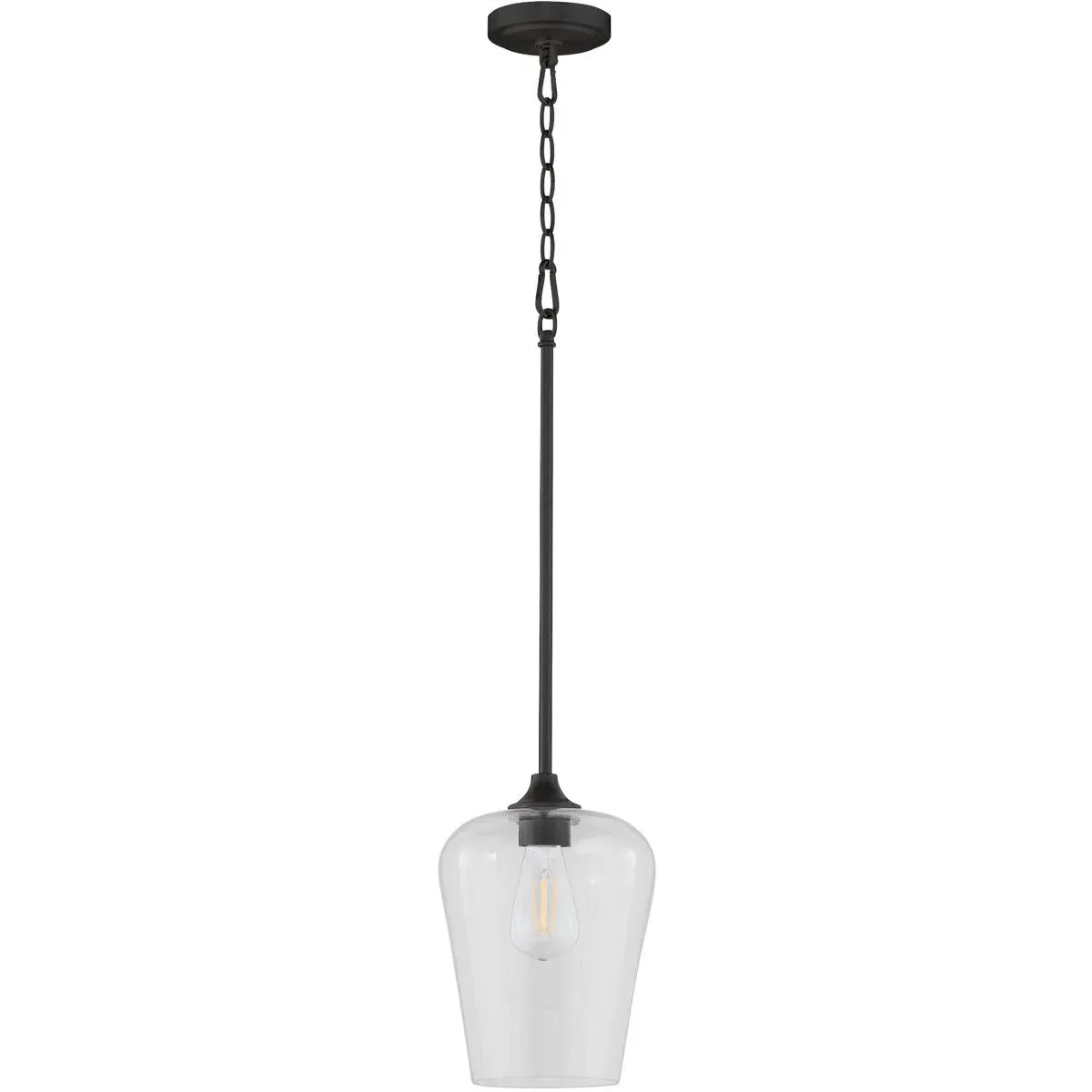 Quorum Raymond 1-Light Pendant - Matte Black, Clear Glass product