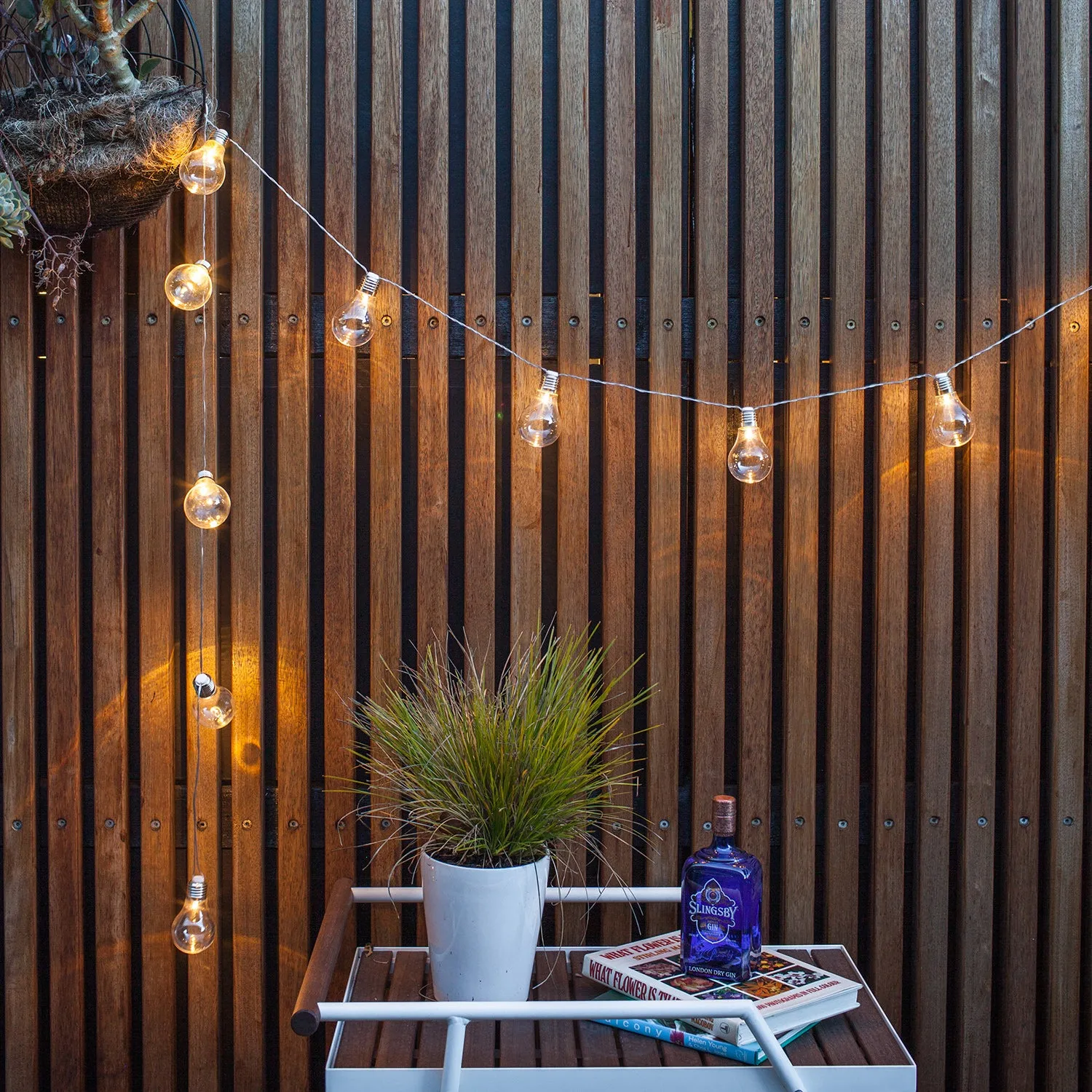 10-Bulb Battery Festoon Lights - Warm White alternate view