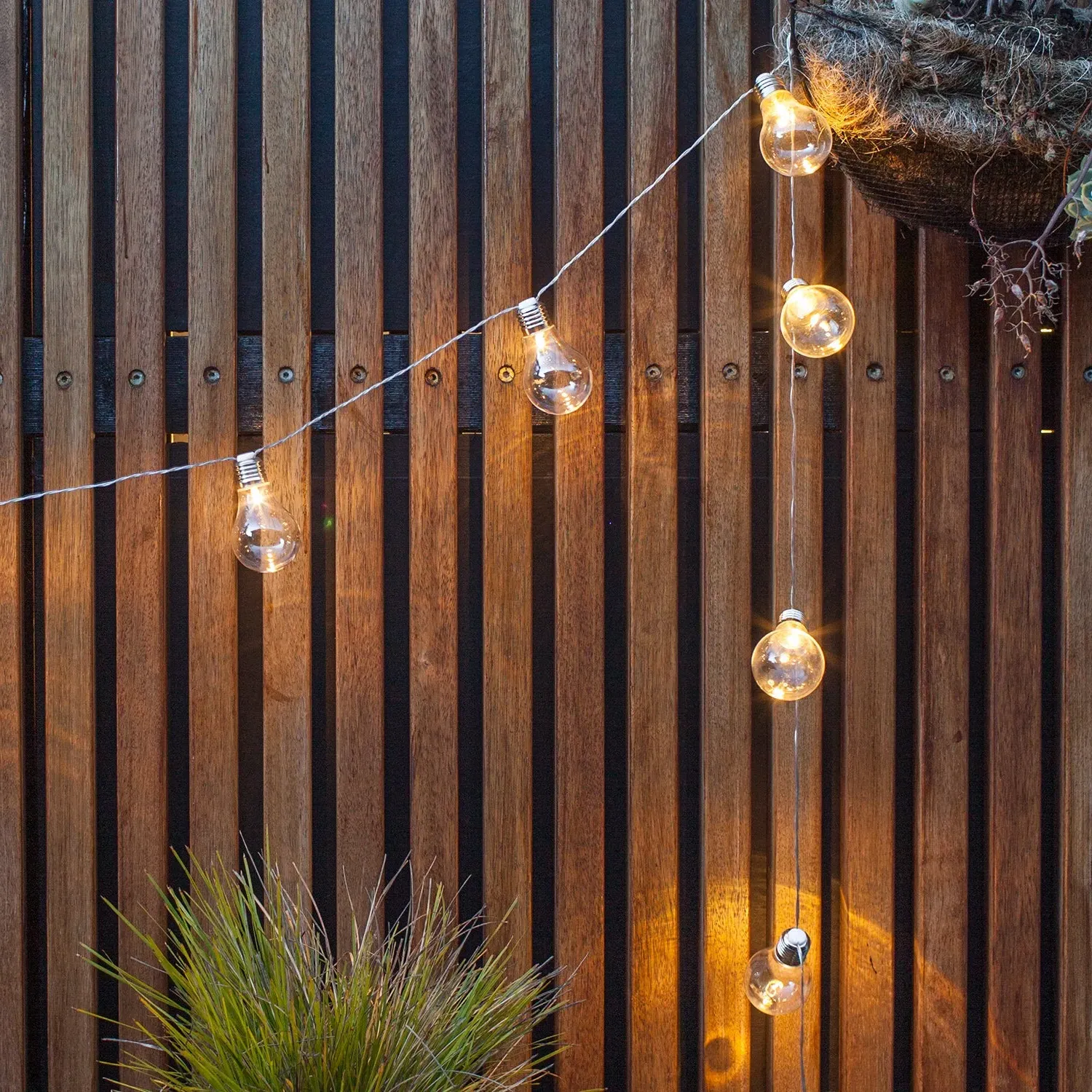 10-Bulb Battery Festoon Lights - Warm White product