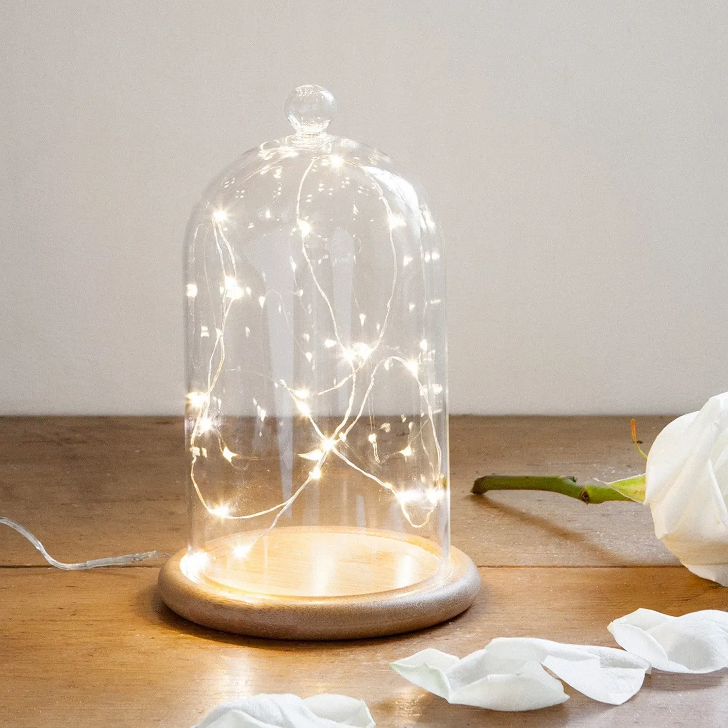 Bell Jar with Fairy Lights - Warm White, Bamboo alternate view