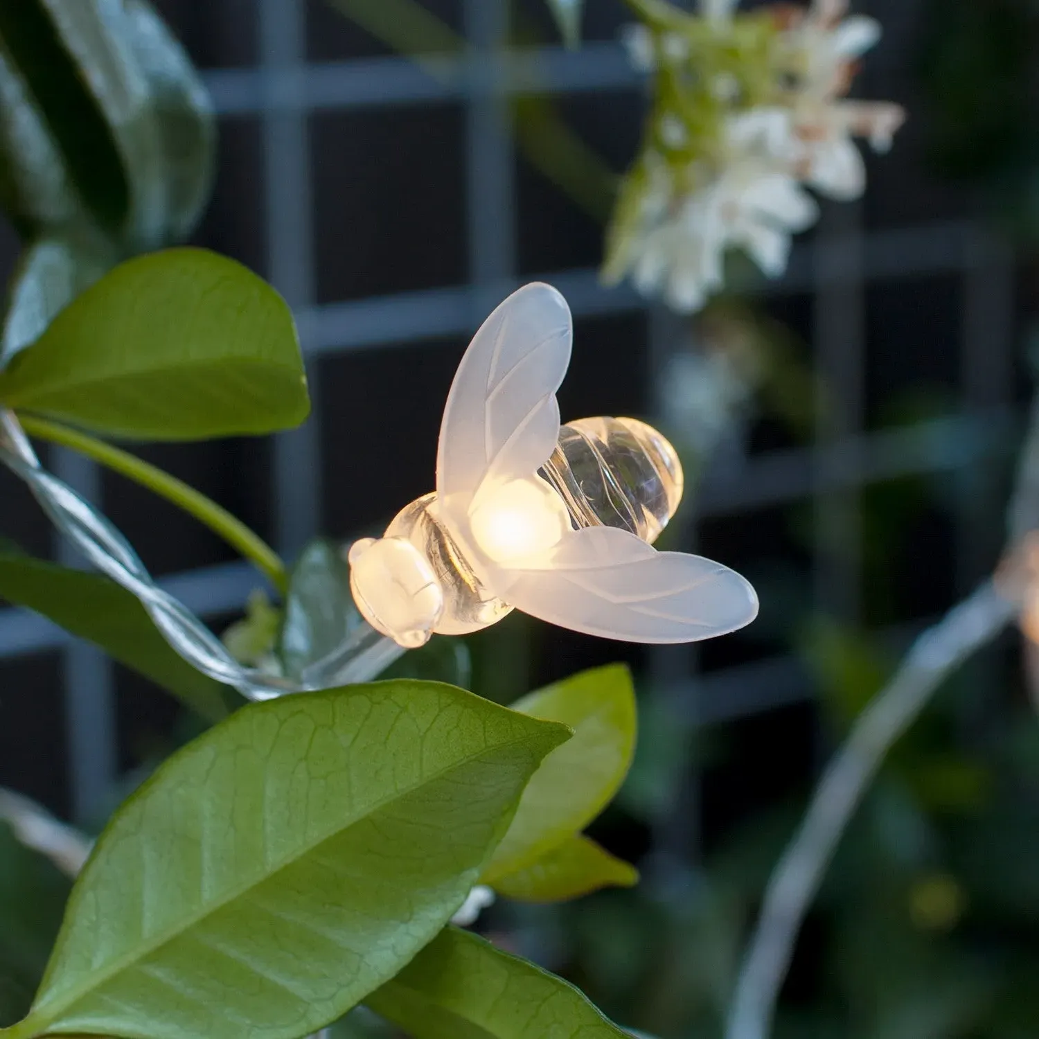 20 Bee LED Solar Fairy Lights - Warm White product