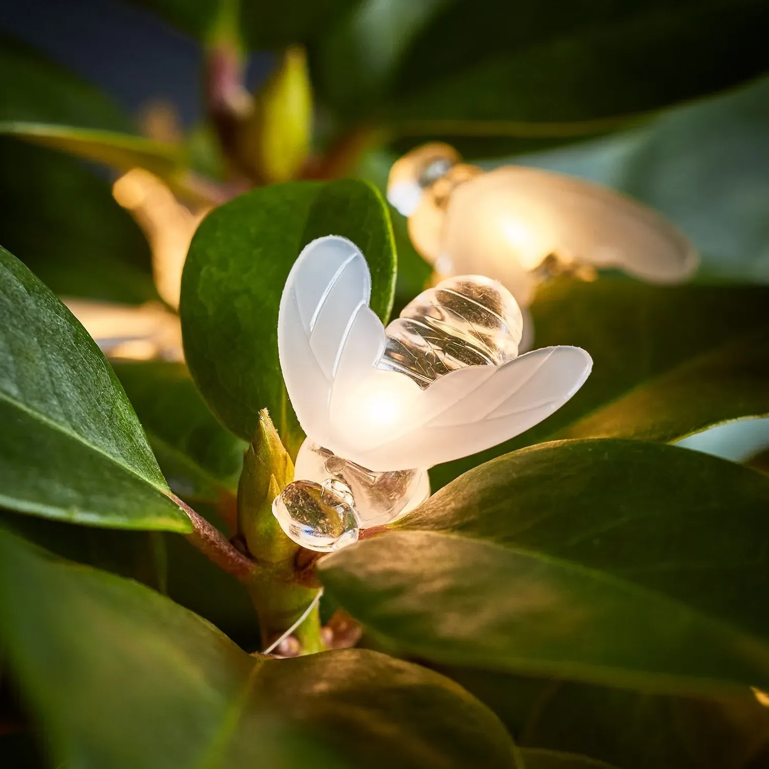 20 Bee Outdoor Micro Fairy Lights - Warm White alternate view