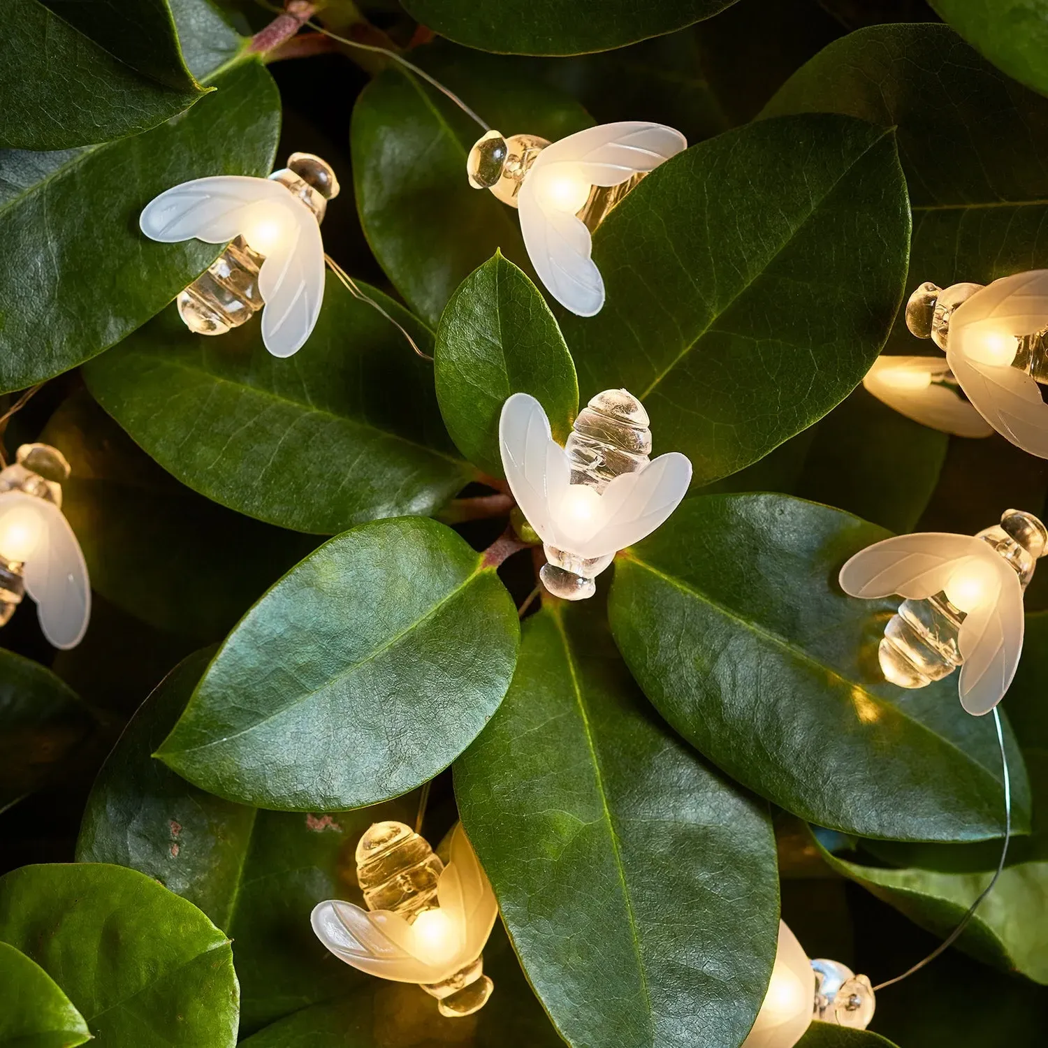20 Bee Outdoor Micro Fairy Lights - Warm White product