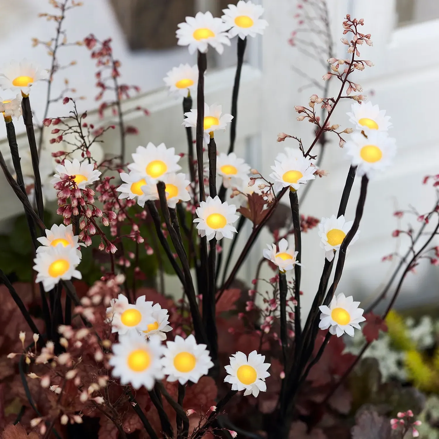 30 LED Daisy Solar Stake Lights - Warm White product