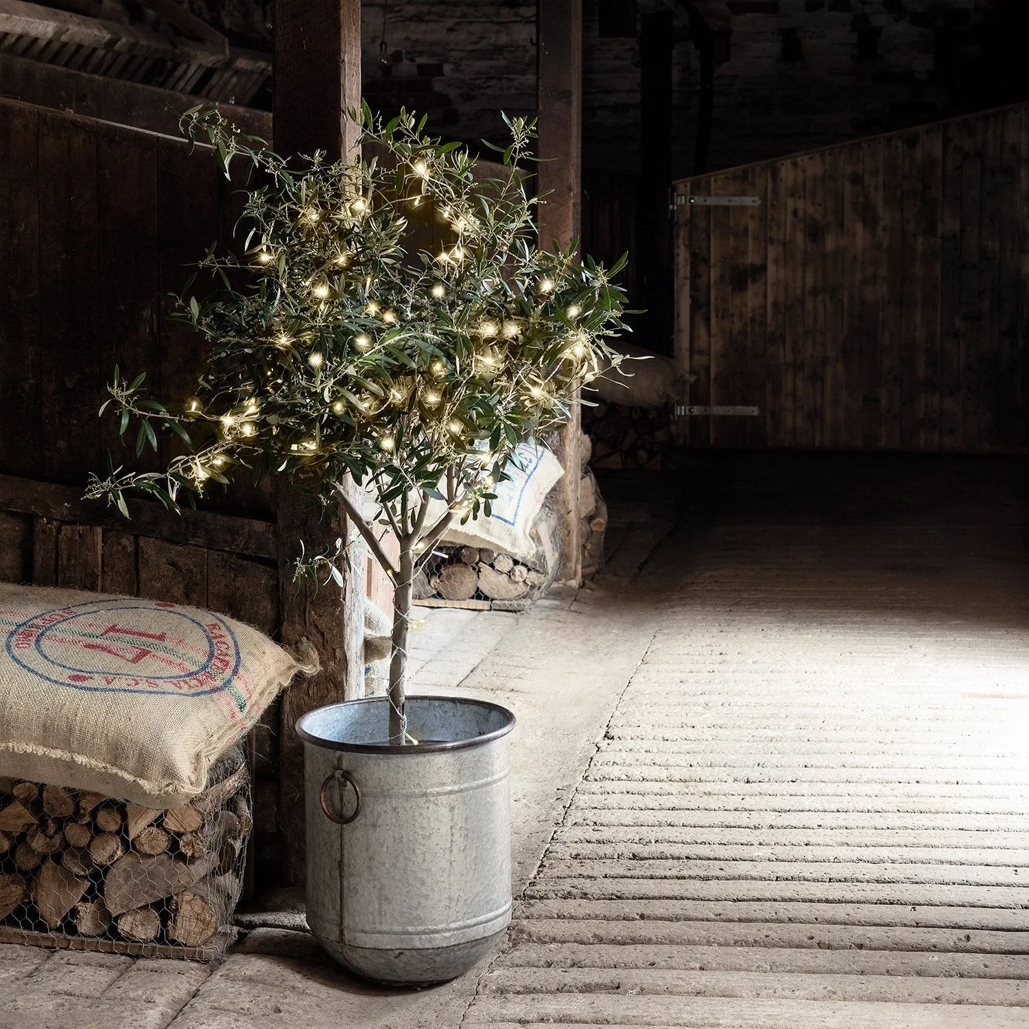 50 LED Outdoor Battery Fairy Lights - Warm White product