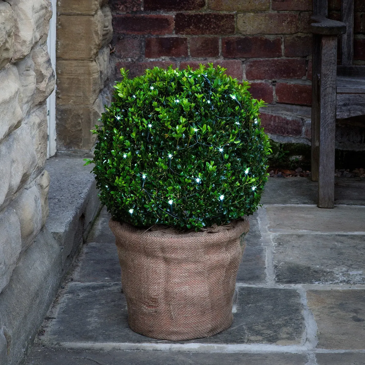 60 LED Topiary Outdoor Battery Net Light - White product
