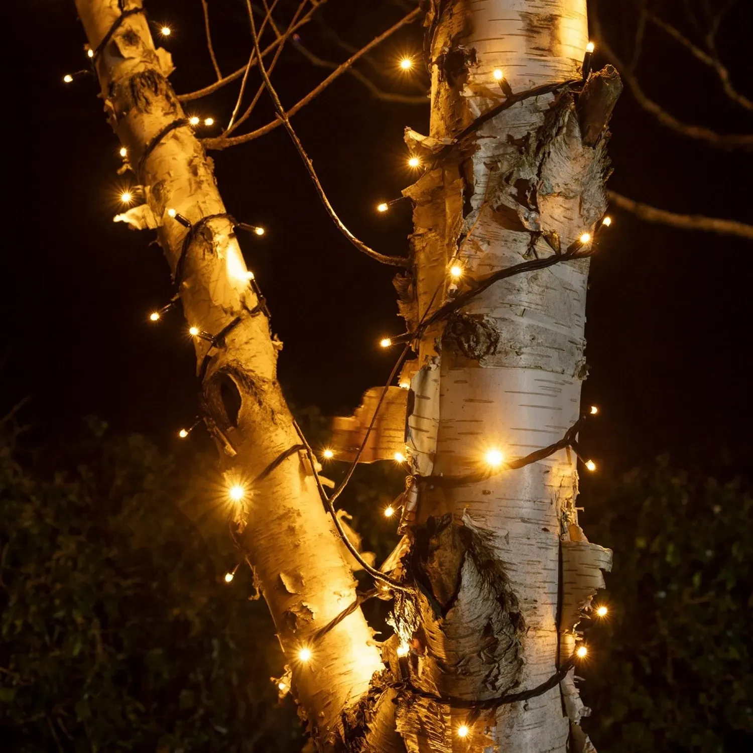 Pro Connect 180m Connectable String Lights - Warm White, Black Cable alternate view