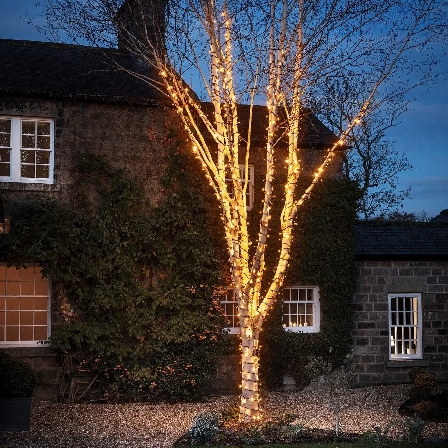 Pro Connect 55m Connectable String Lights - Warm White, Black Cable product