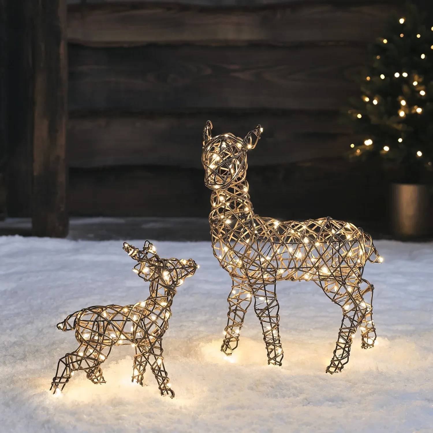 Studley Doe & Fawn LED Reindeer Duo - Warm White, Rattan product