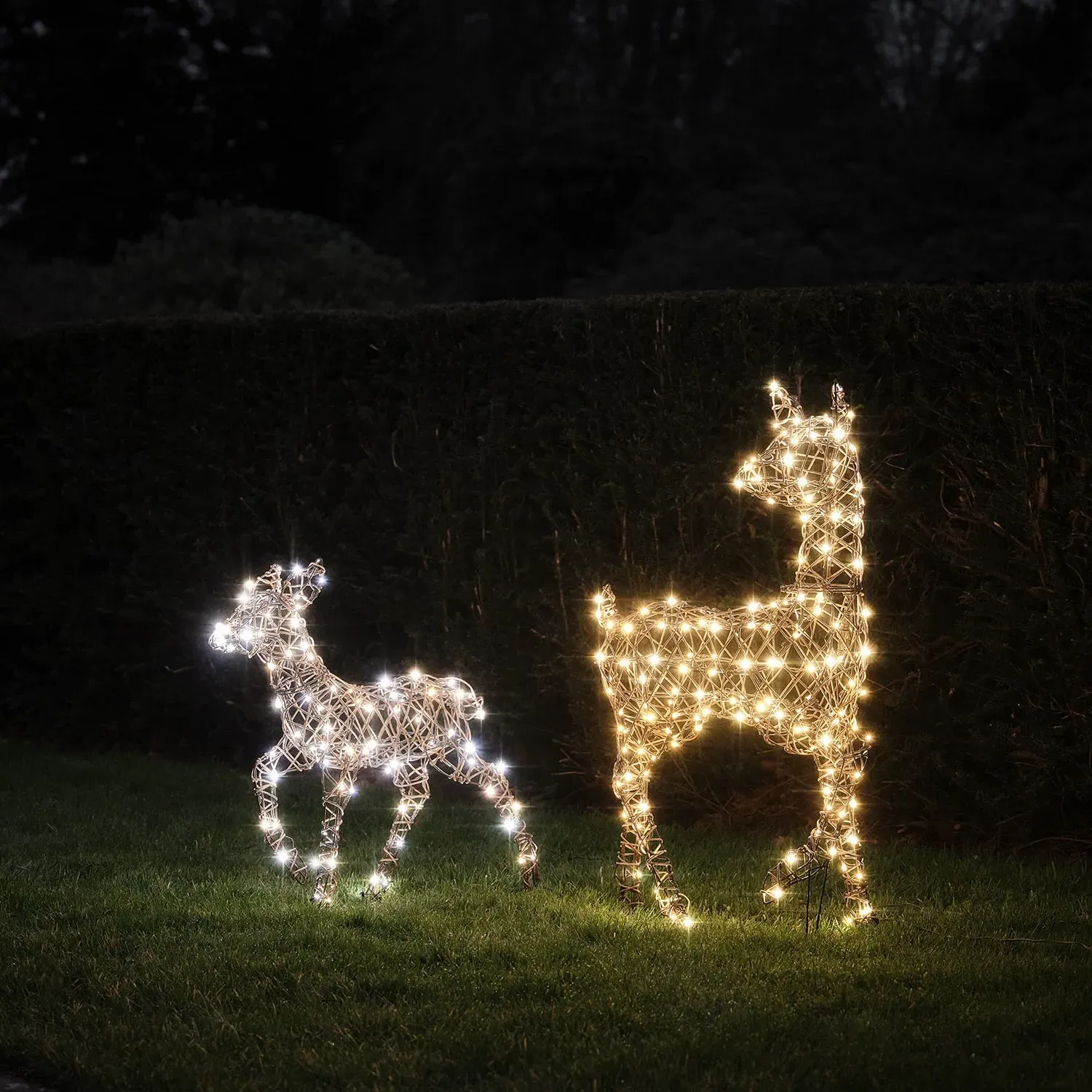 Studley Rattan Doe & Fawn LED Reindeer Duo - Warm White alternate view