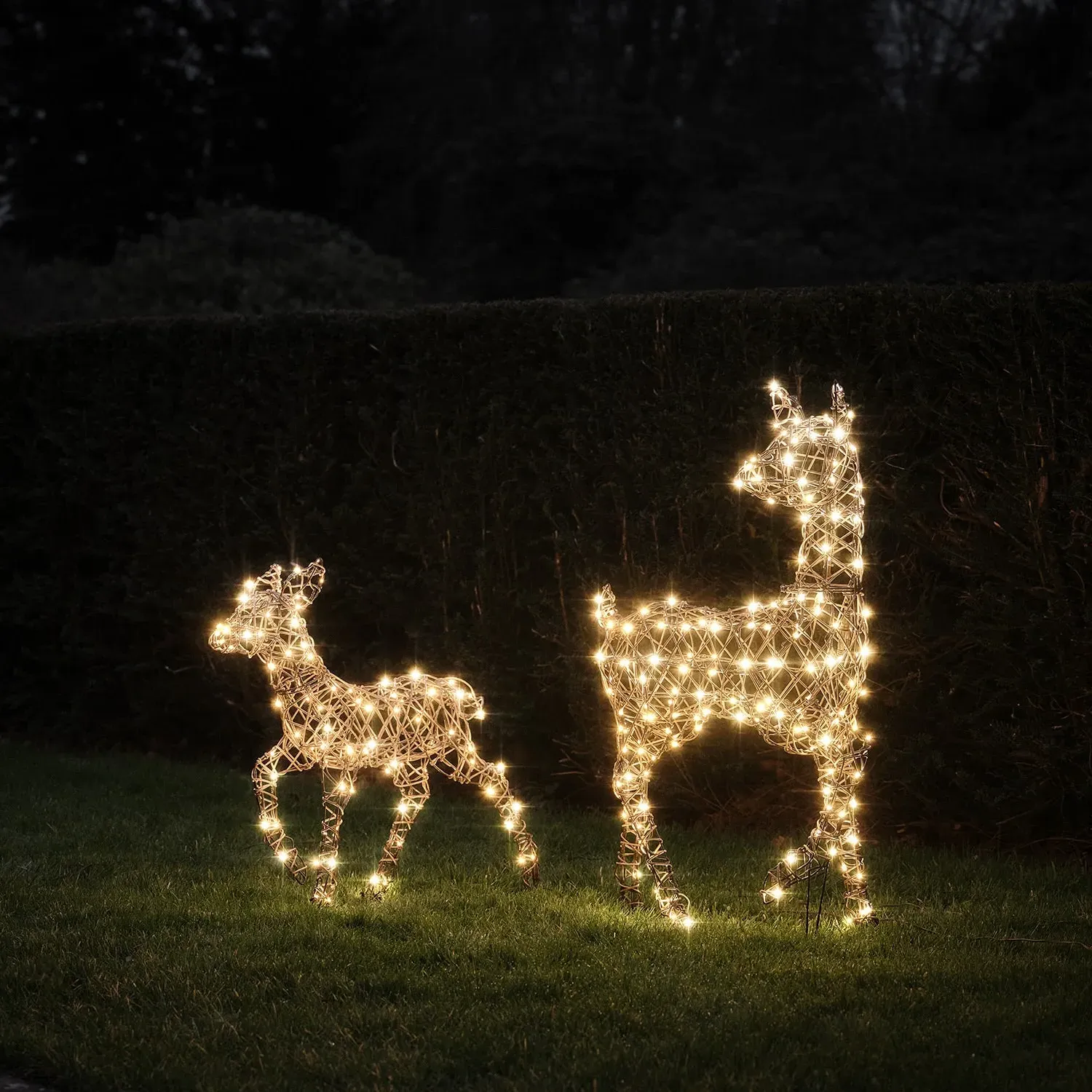Studley Rattan Doe & Fawn LED Reindeer Duo - Warm White product