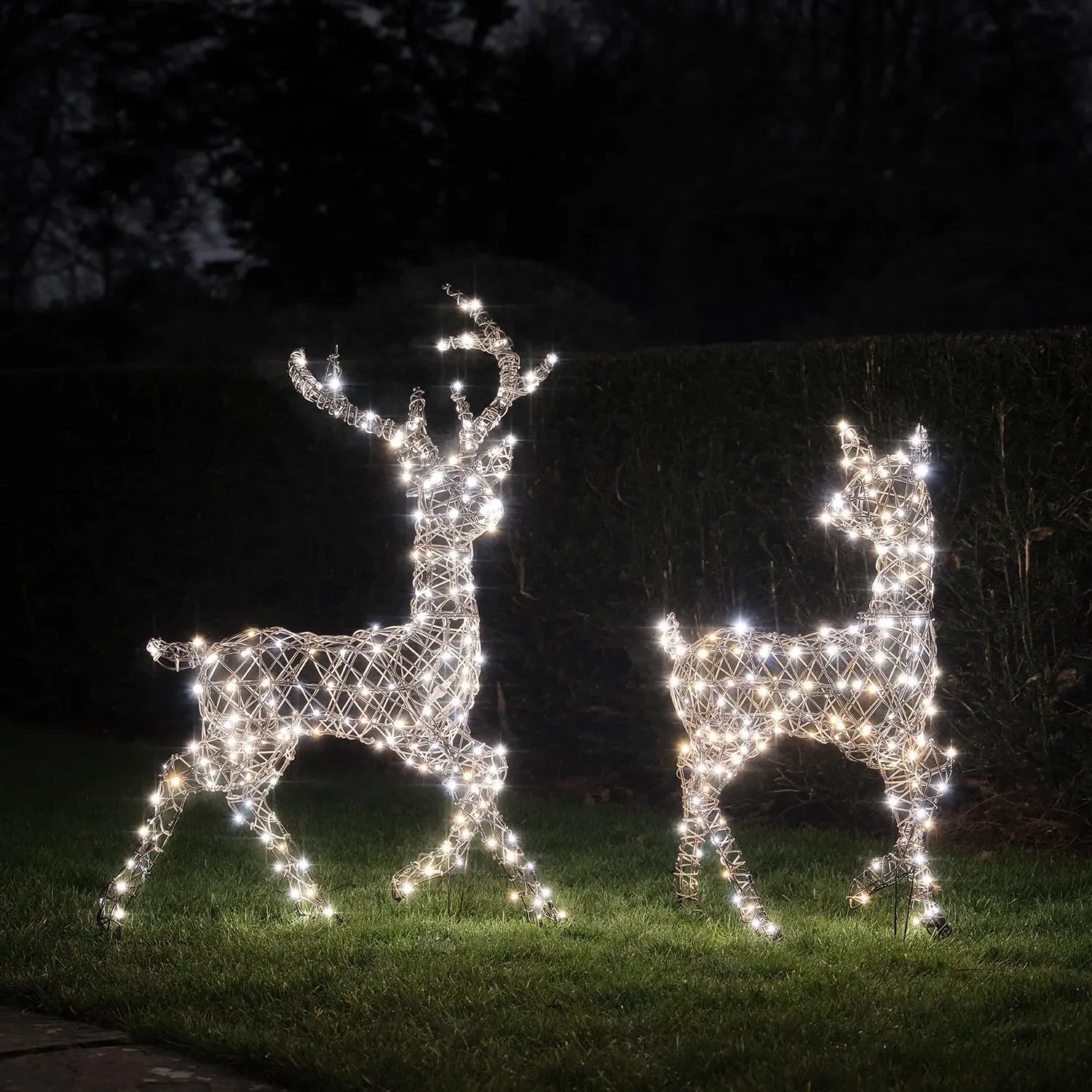 Studley Stag & Doe LED Light Up Reindeer Duo - Faux Rattan alternate view