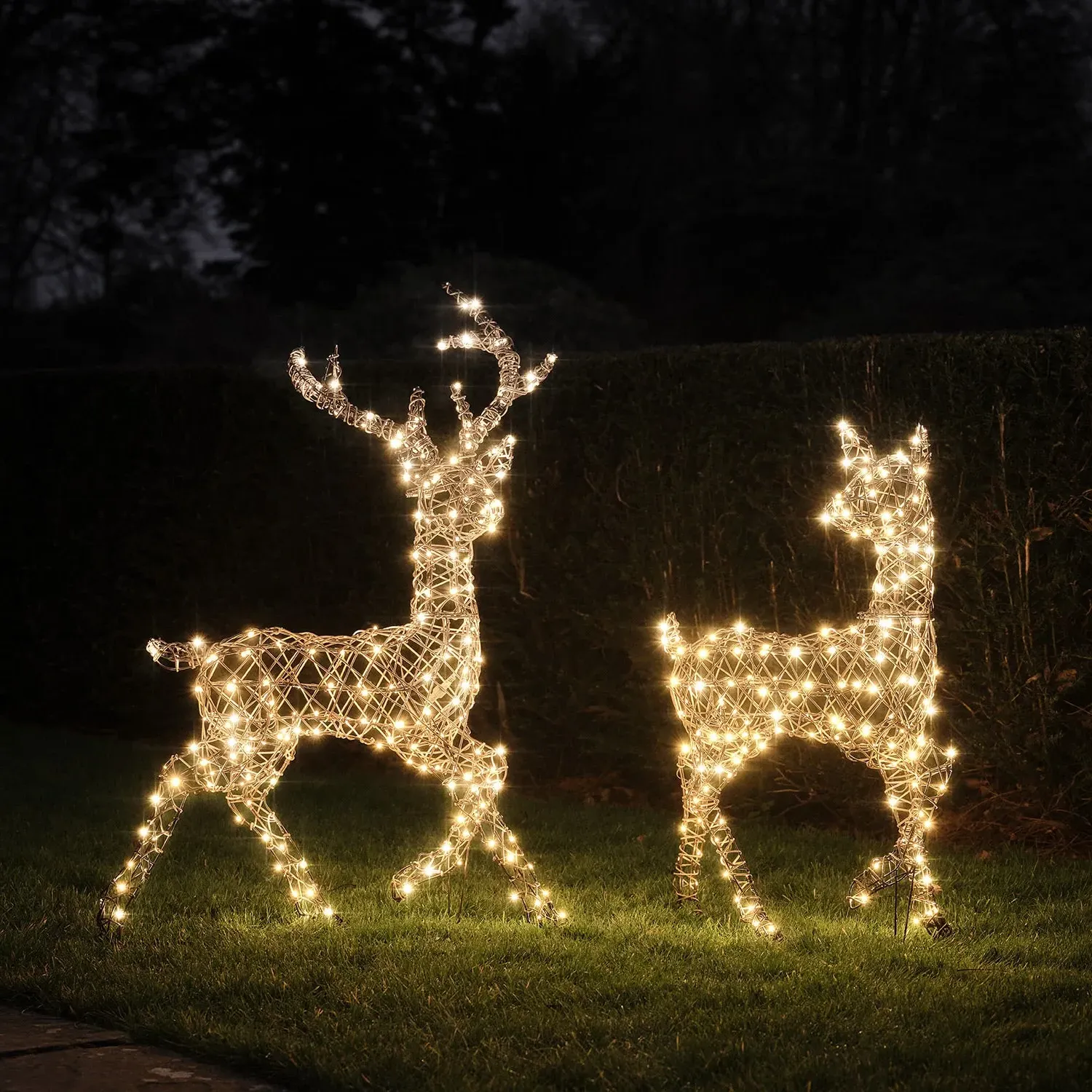 Studley Stag & Doe LED Light Up Reindeer Duo - Faux Rattan product