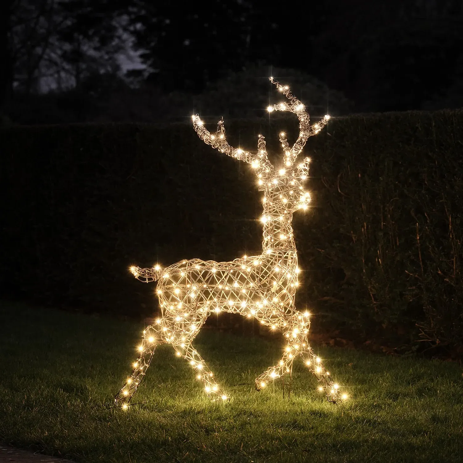 Studley Stag Dual LED Light Up Reindeer - Faux Rattan product