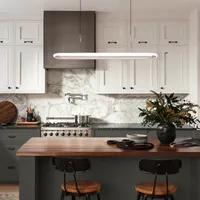 Oval LED Pendant Light - Aluminum, Acrylic alternate view