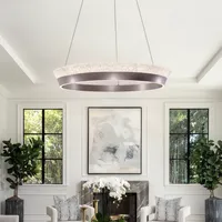 Ring Pendant Light with Remote - Aluminum alternate view
