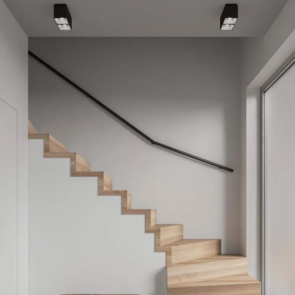 2-Spot Ceiling Light Square Mount - Black