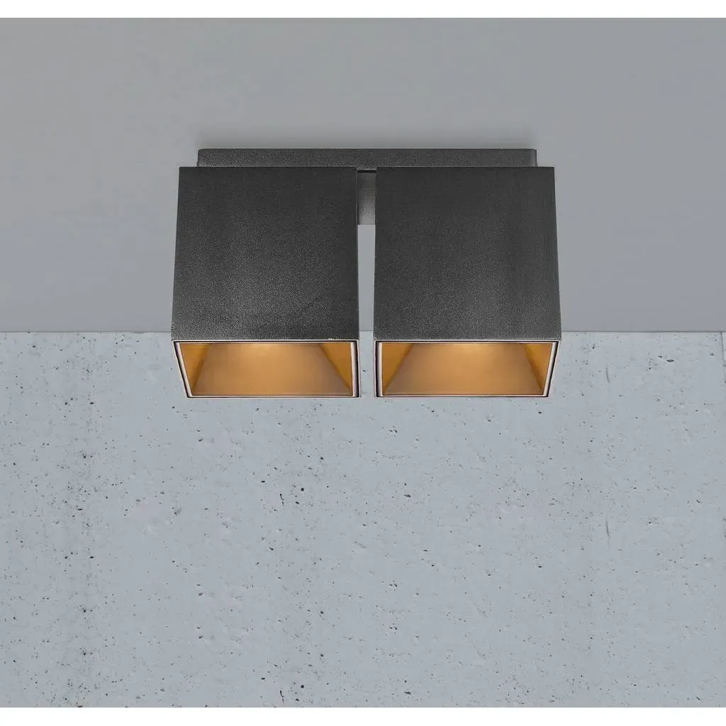 2-Spot Ceiling Light Square Mount - Black