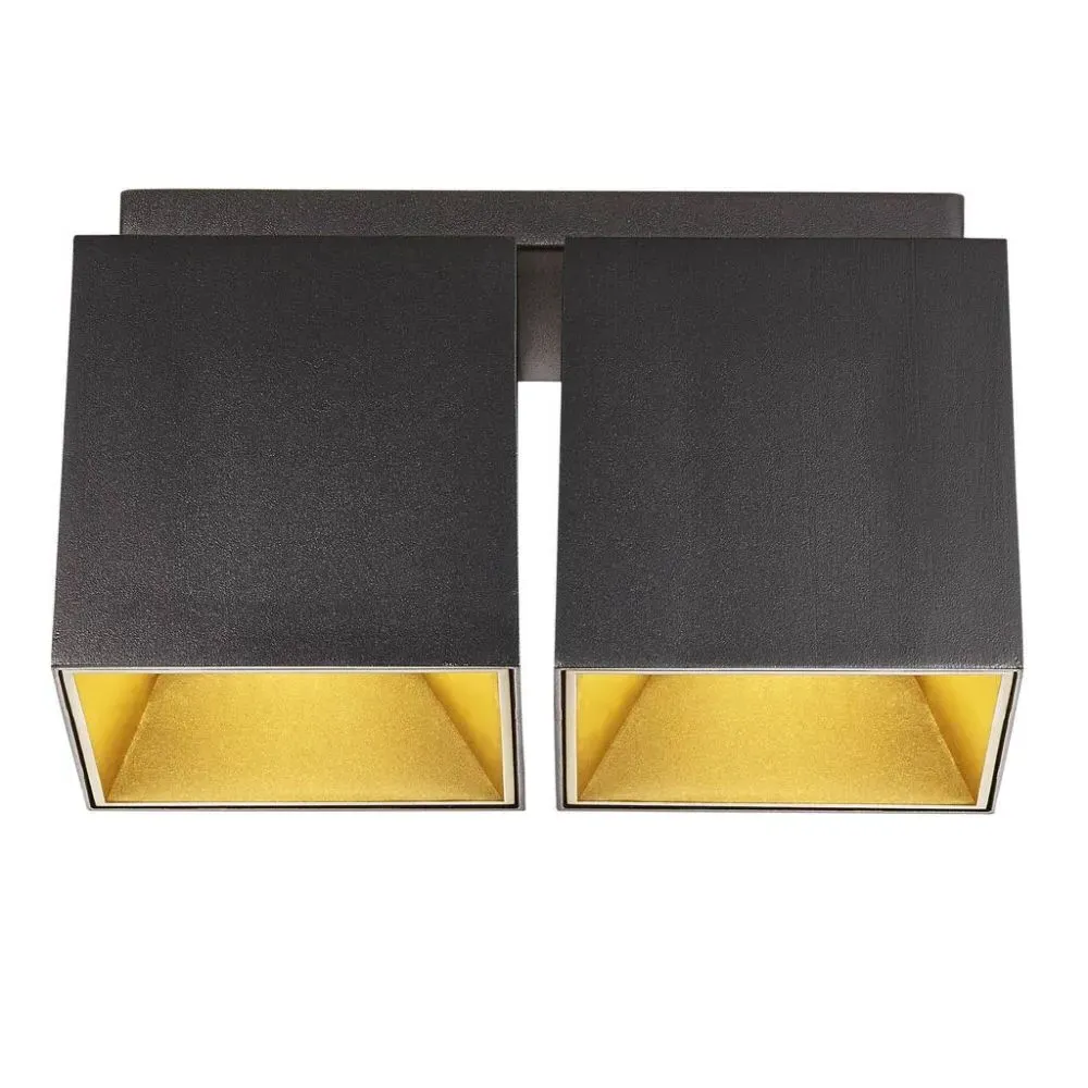 2-Spot Ceiling Light Square Mount - Black image