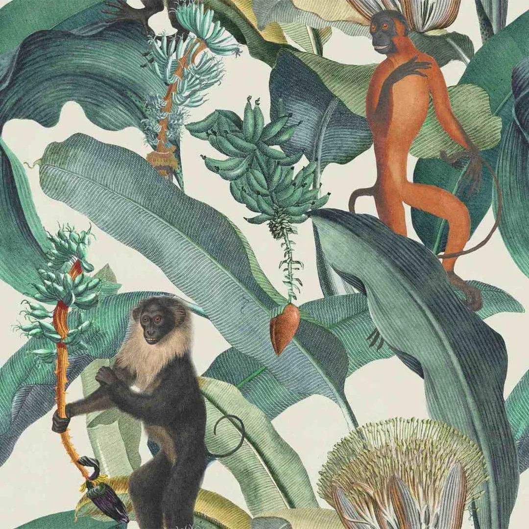 3-Roll Light Wallpaper Set - Tropical Print