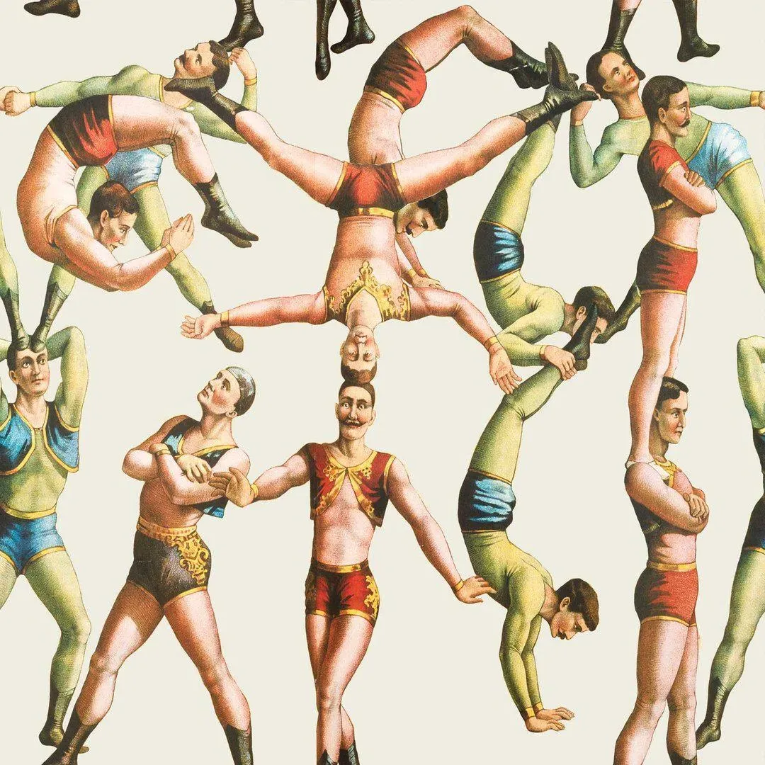3-Roll Wallpaper Set - Acrobats Design