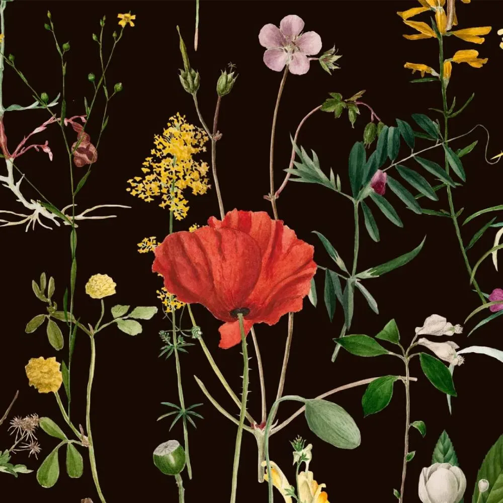 3-Roll Wallpaper Set - Anthracite, Floral