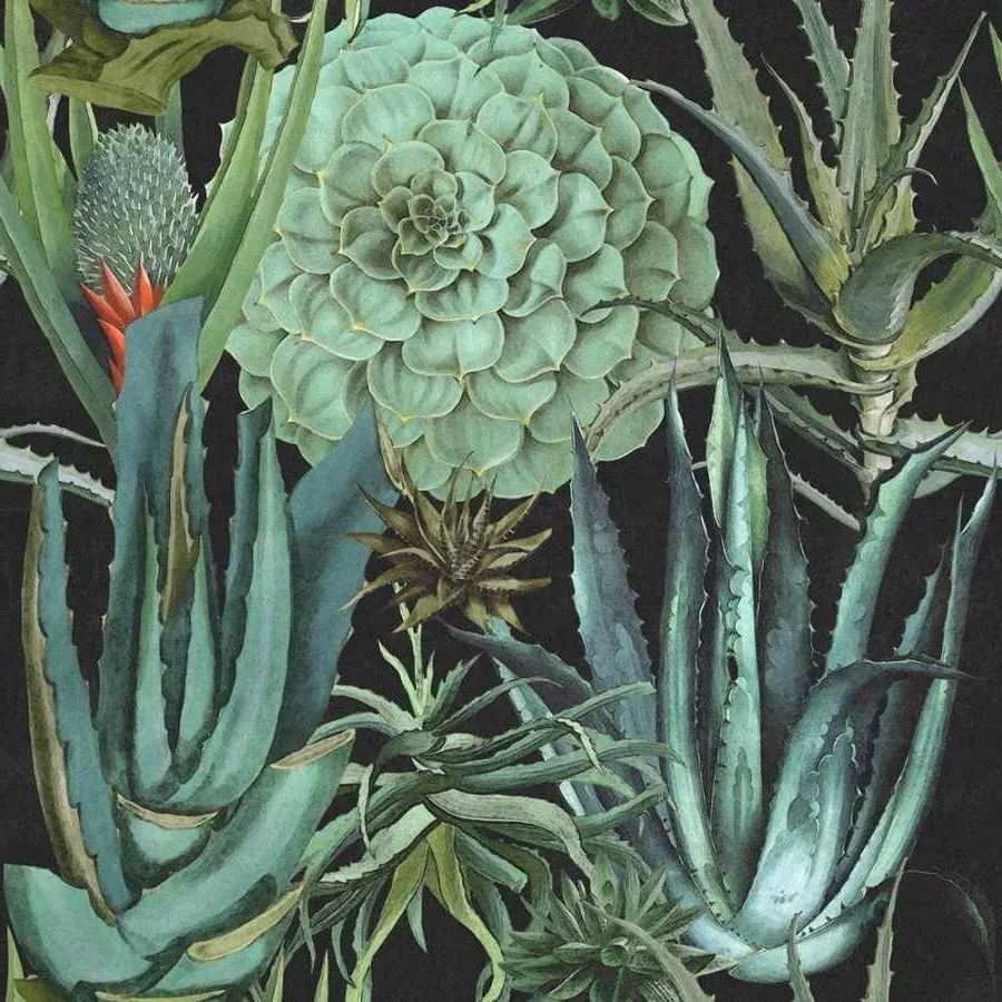 3-Roll Wallpaper Set - Anthracite, Succulent
