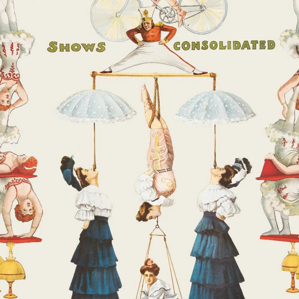 3-Roll Wallpaper Set - Circus Performers Design