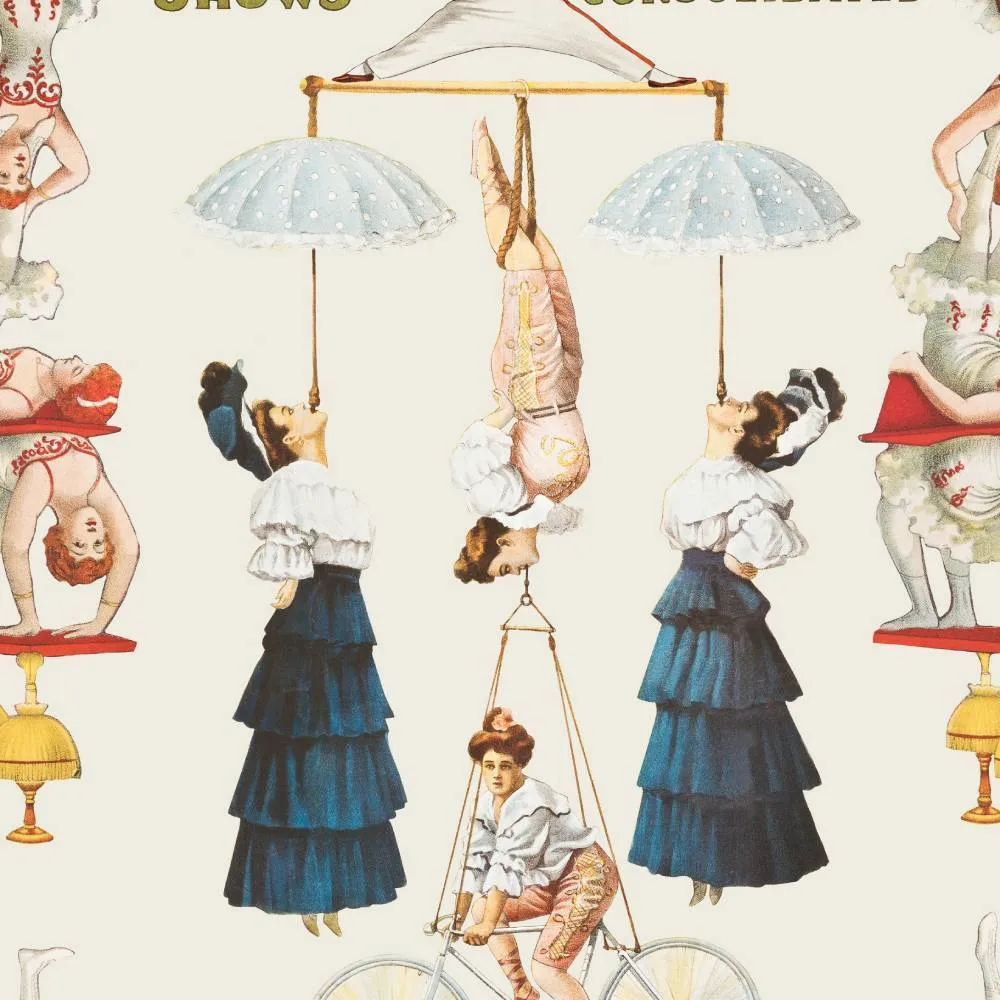 3-Roll Wallpaper Set - Circus Performers Design