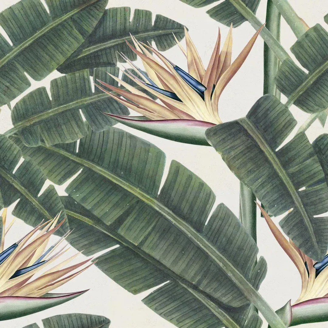 3-Roll Wallpaper Set - Exotic Foliage Print