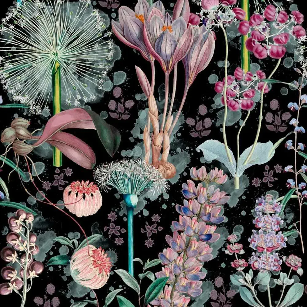 3-Roll Wallpaper Set Floral - Black Background