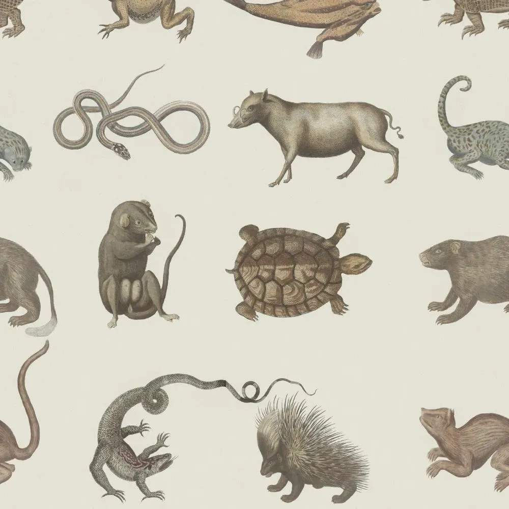 3-Roll Wallpaper Set - Scientific Animal Print