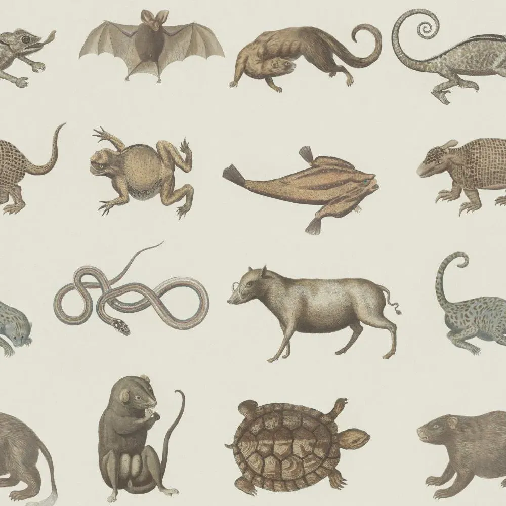 3-Roll Wallpaper Set - Scientific Animal Print