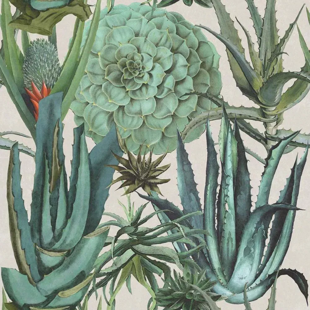3-Roll Wallpaper Set - Succulent Pattern
