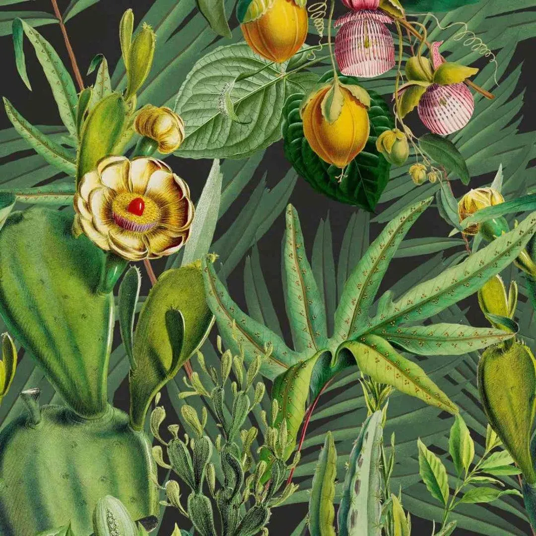 3-Roll Wallpaper Set - Tropical Flora Design