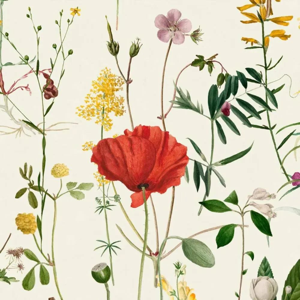 3-Roll Wallpaper Set - White, Floral Pattern