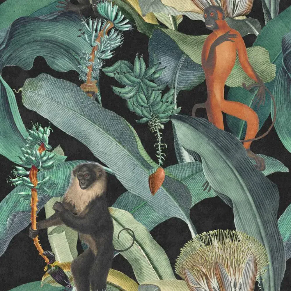 3-Roll Wallpaper Set with Tropical Design