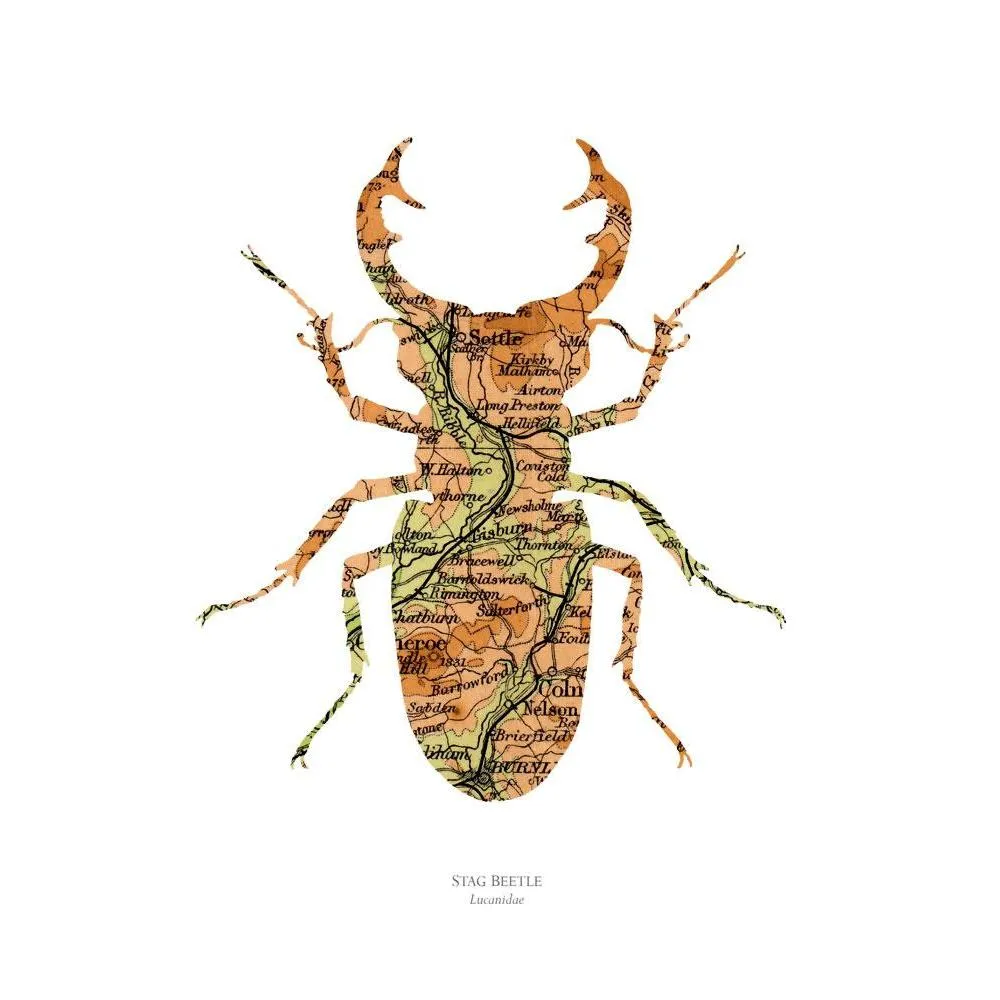 A3 Vintage Map Print - Beetle Design, Paper