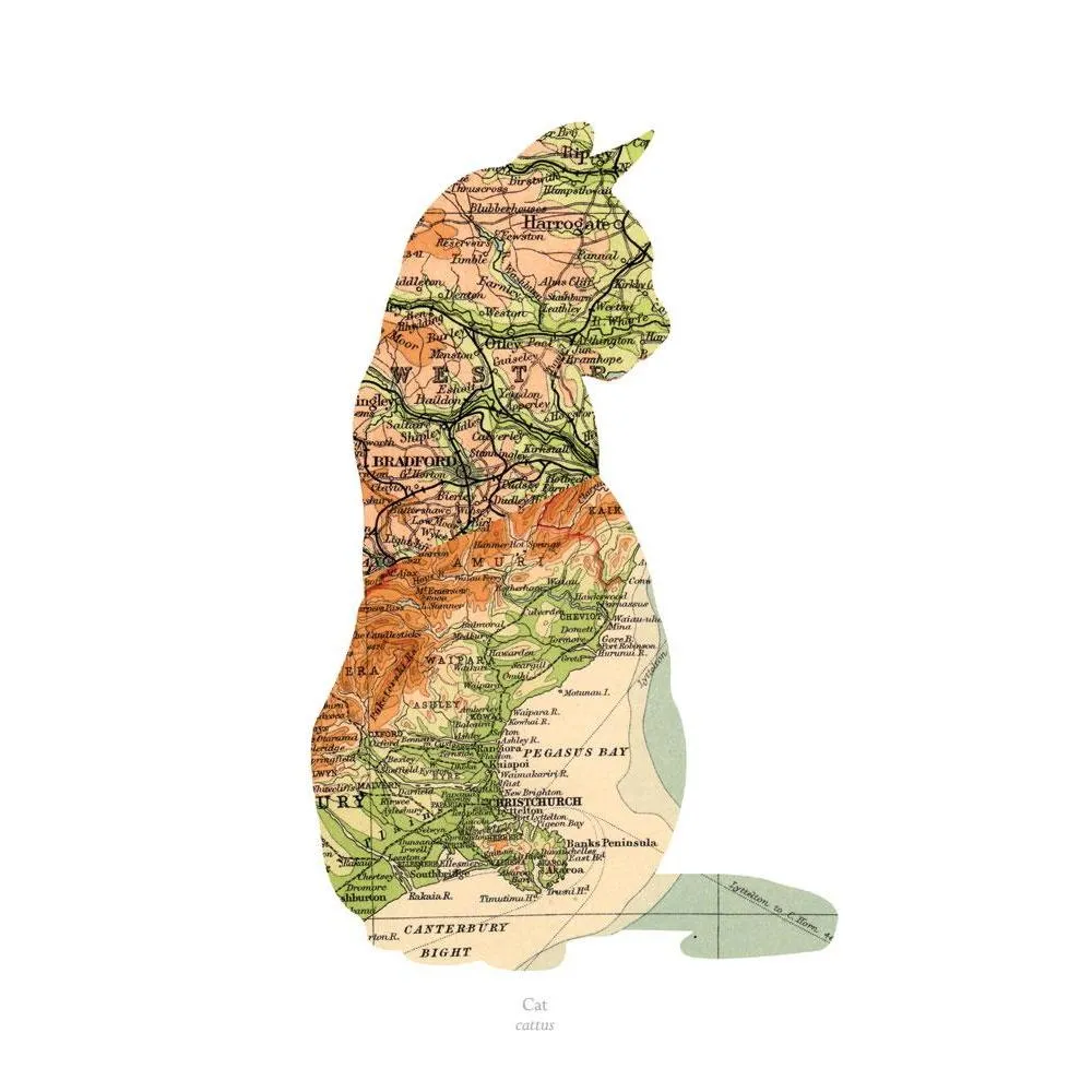 A3 Vintage Map Print - Cat Design, Paper