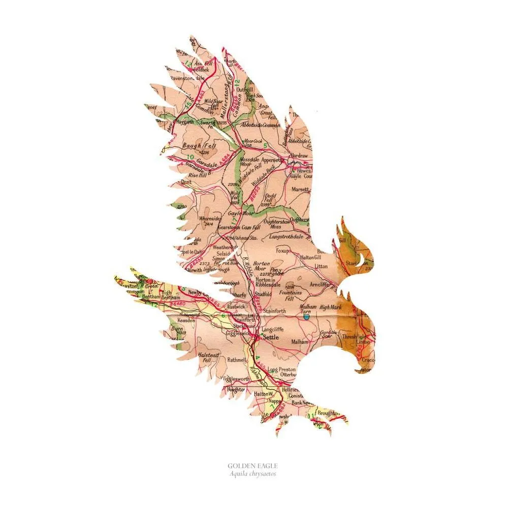 A3 Vintage Map Print - Eagle Design, Paper