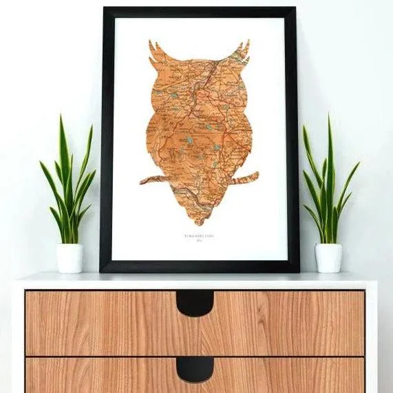 A3 Vintage Map Print - Owl Design, Paper