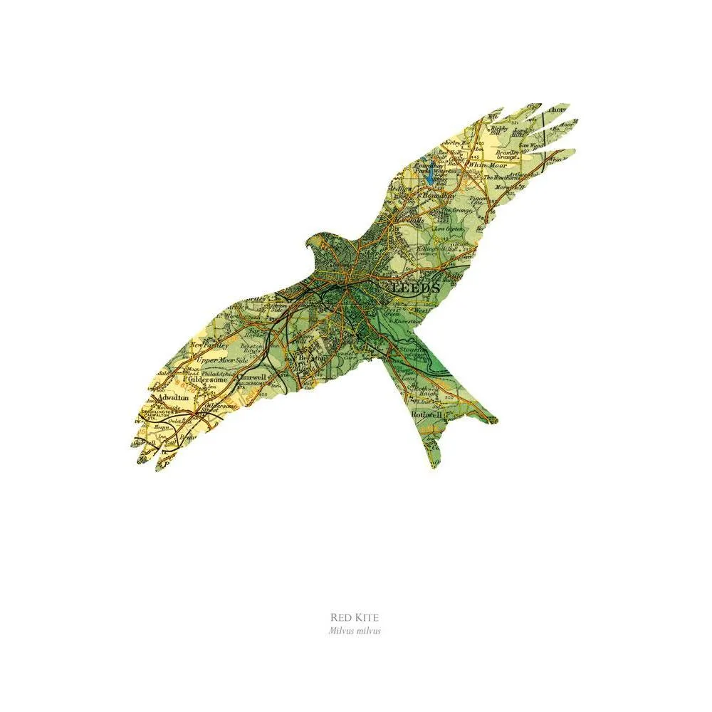A3 Vintage Map Print - Red Kite Design, Paper