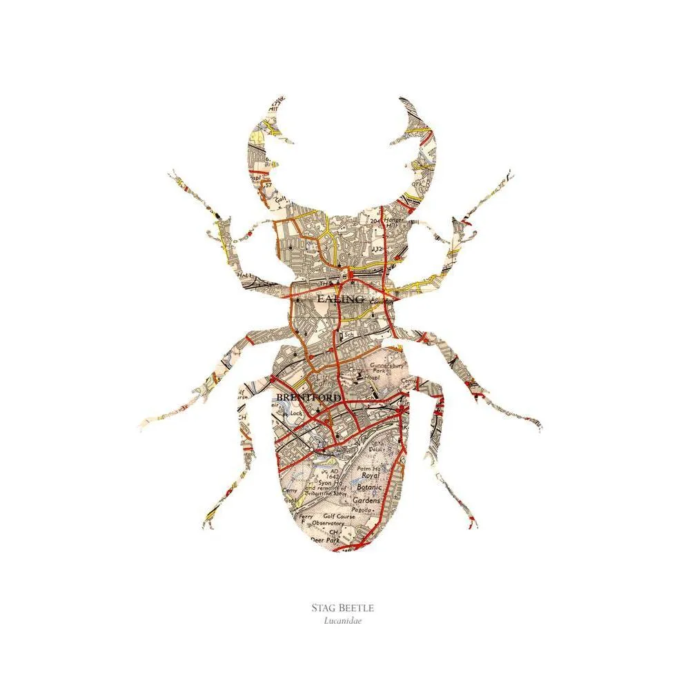 A4 Vintage Map Print - Beetle Design, Paper