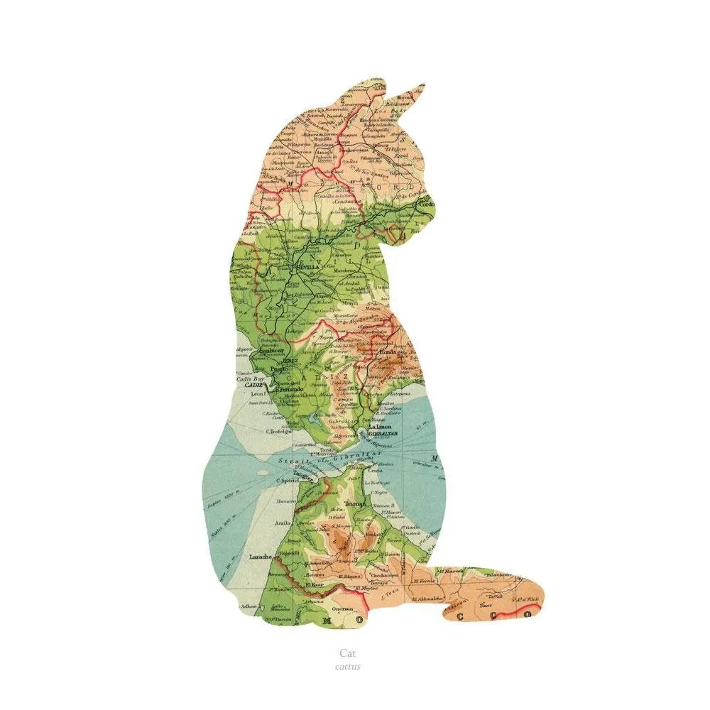 A4 Vintage Map Print - Cat Design, Paper image