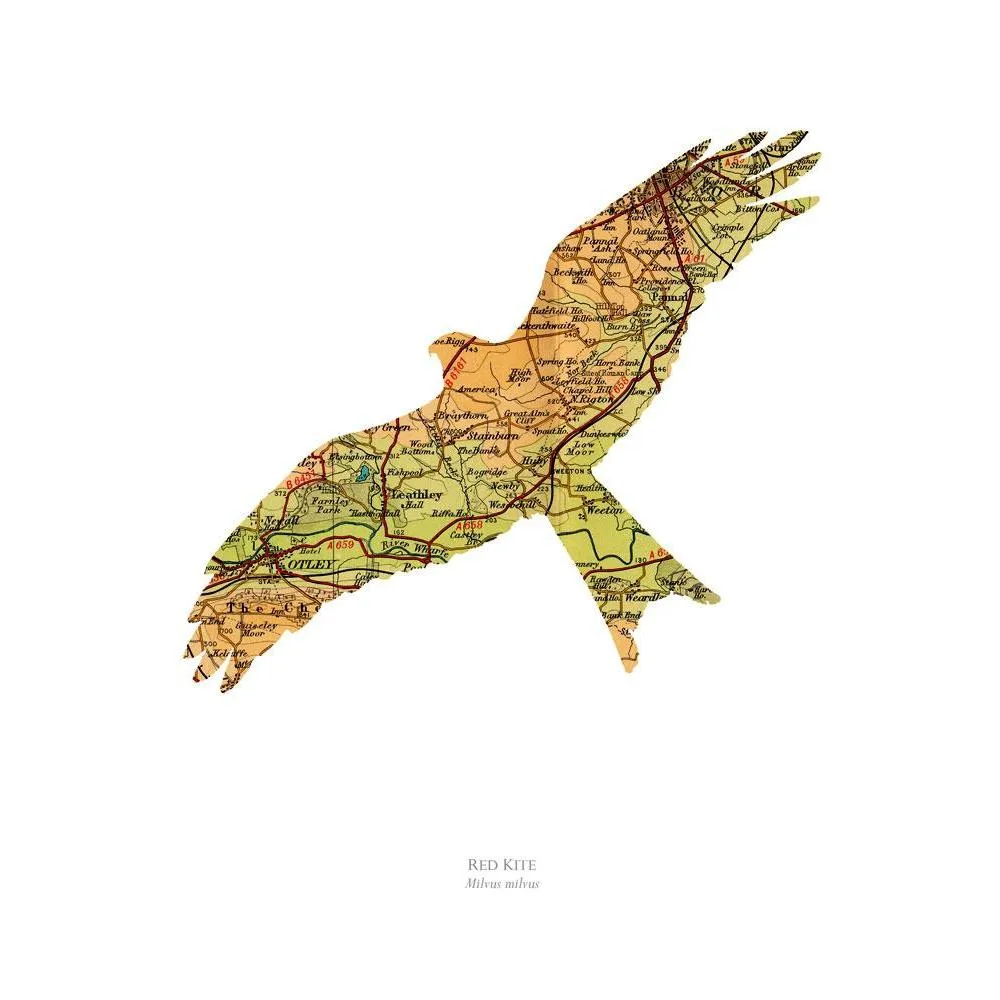A4 Vintage Map Print - Kite Design, Paper