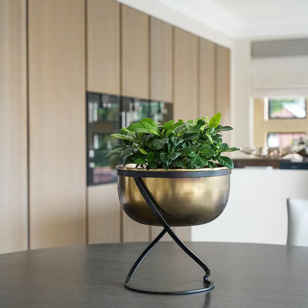 Bowl Planter with Stand - Brass, Metal image
