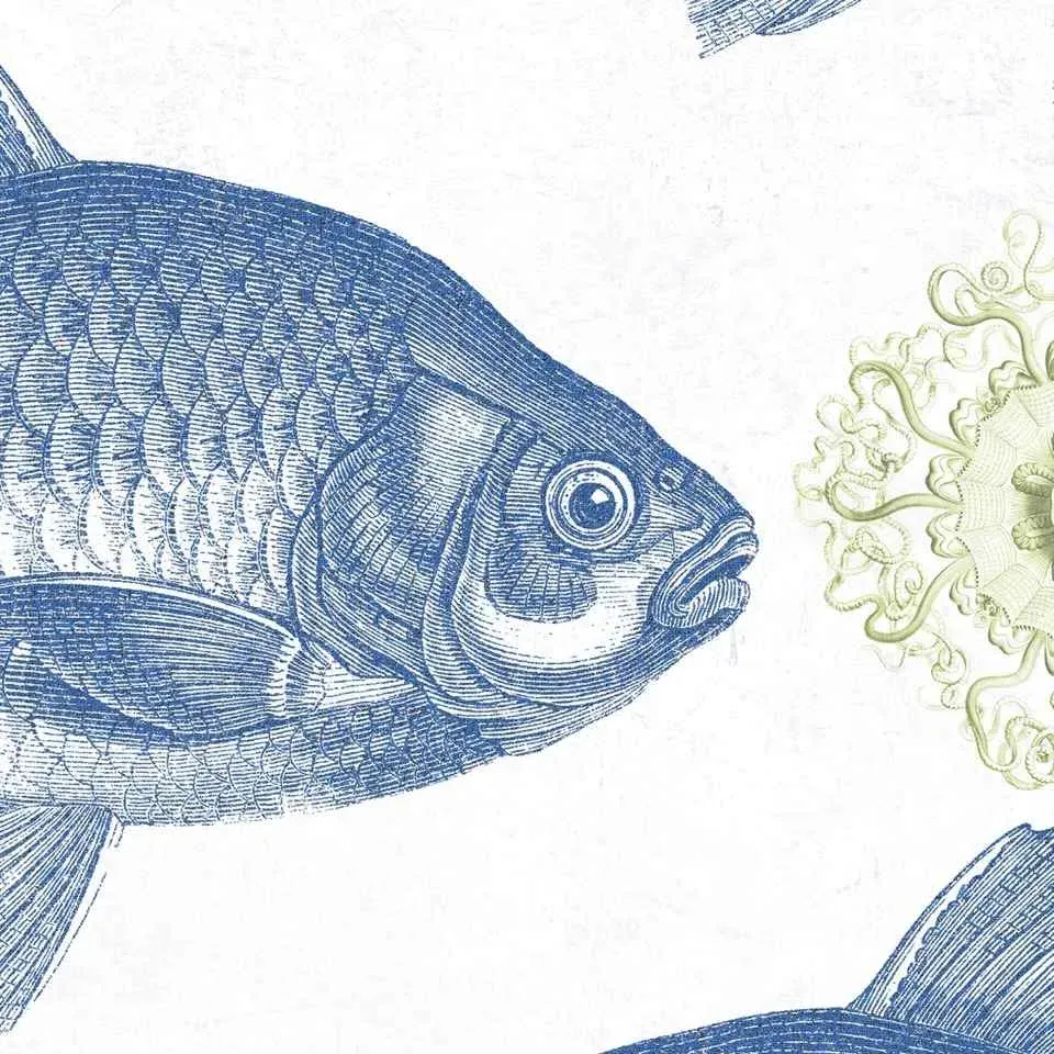 Fish Wallpaper Set - Blue, 3 Rolls