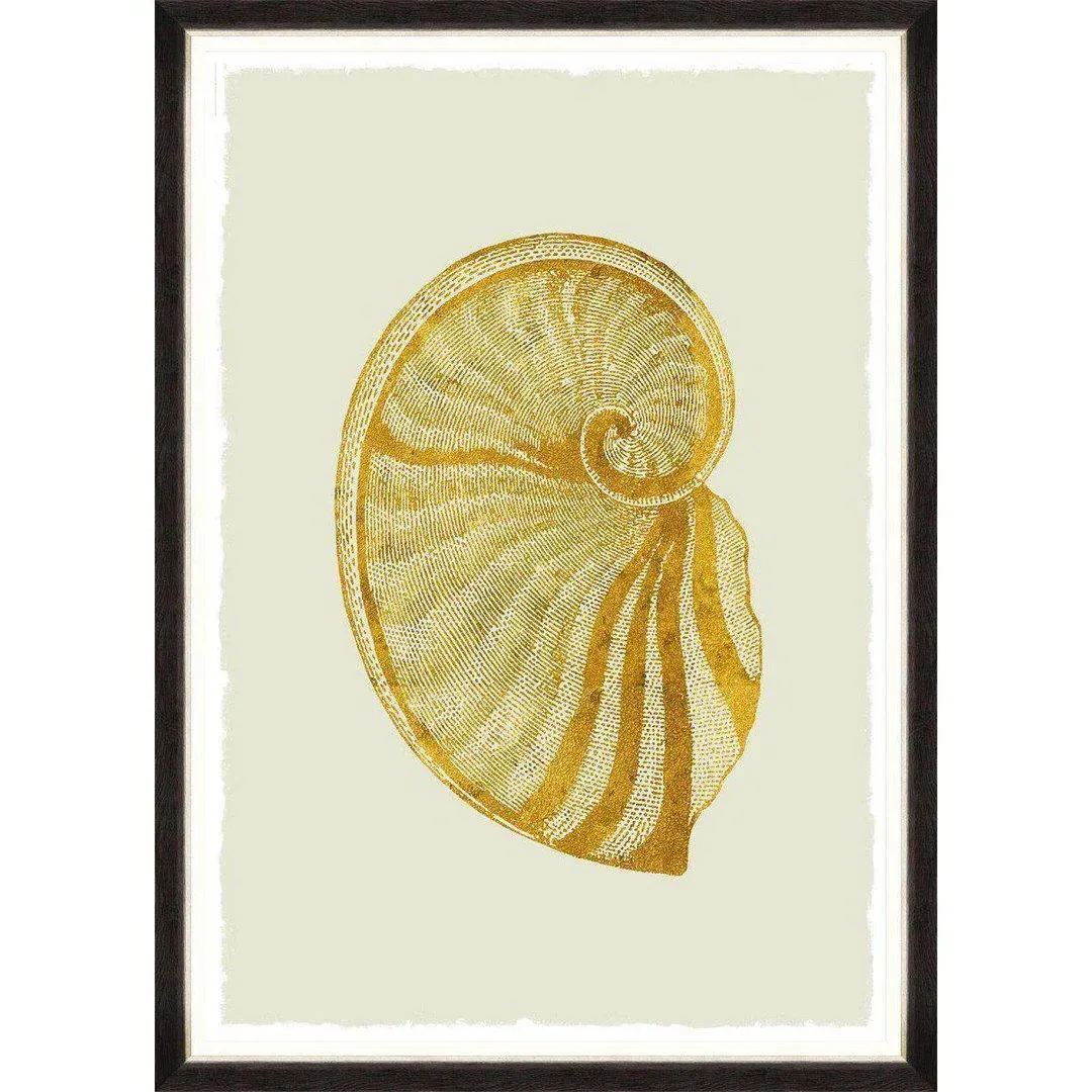 Framed Wall Art - Golden Seashell IV